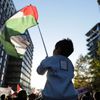Londýn demonstrace Palestina