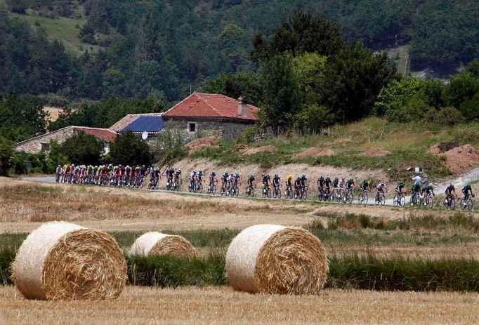 The pack of riders cycle during the 242.5 km fifteenth stage of the centenary Tour de France cycling race from Givors to Mont Ventoux July 14, 2013. REUTERS/Eric Gaillard