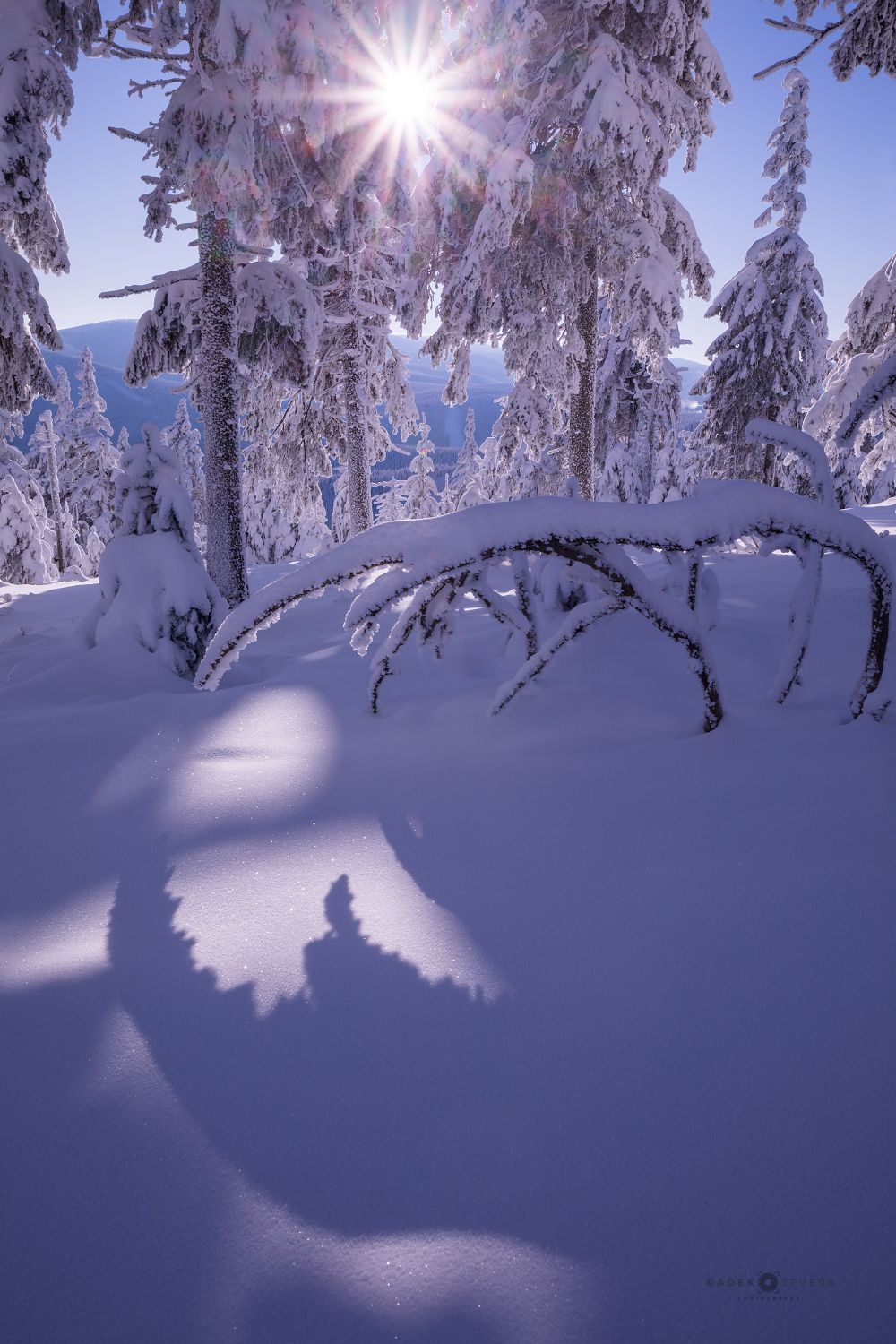 Radek Severa - zimní Jeseníky