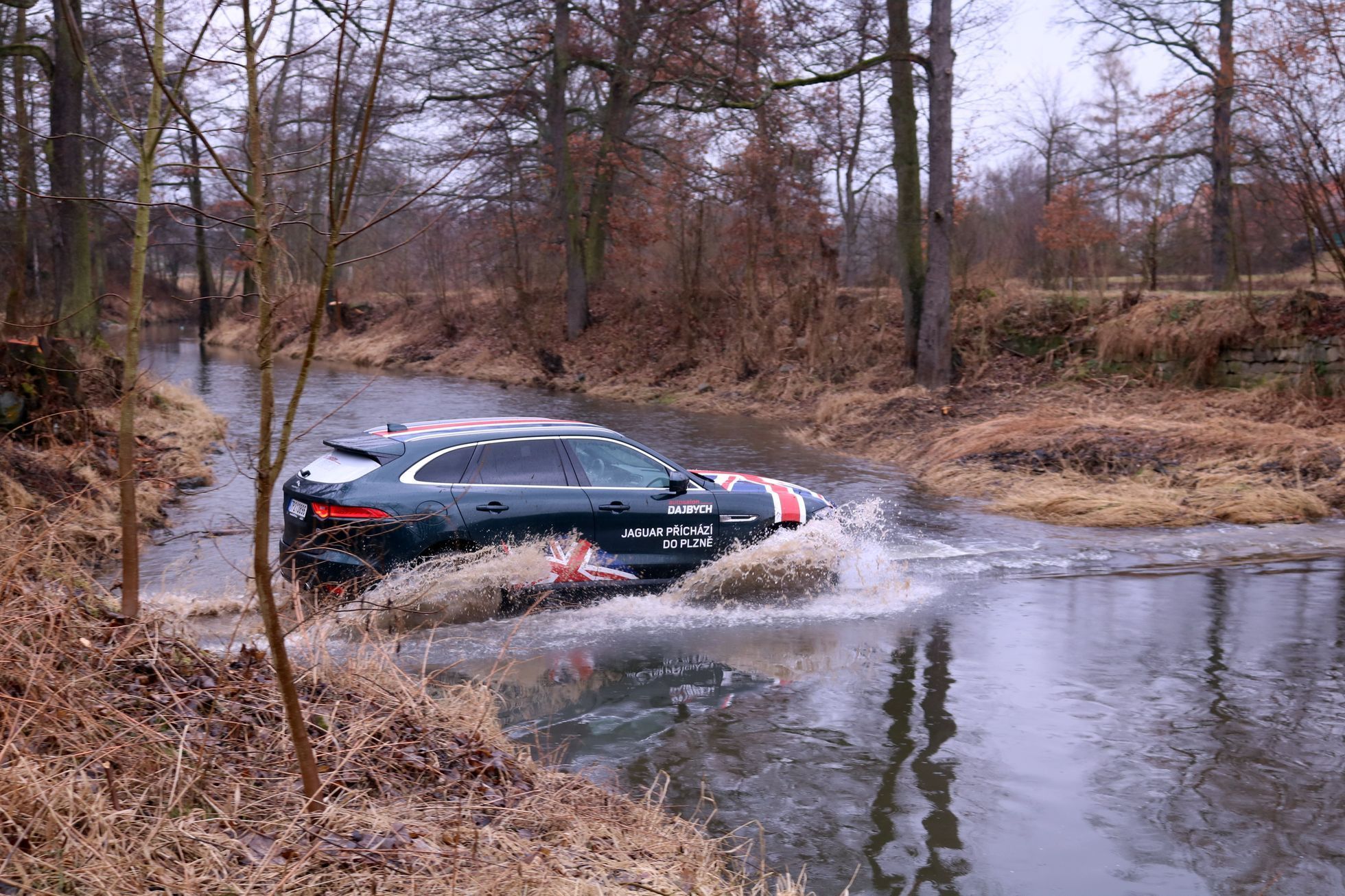 Jaguar Dajbych Plzeň