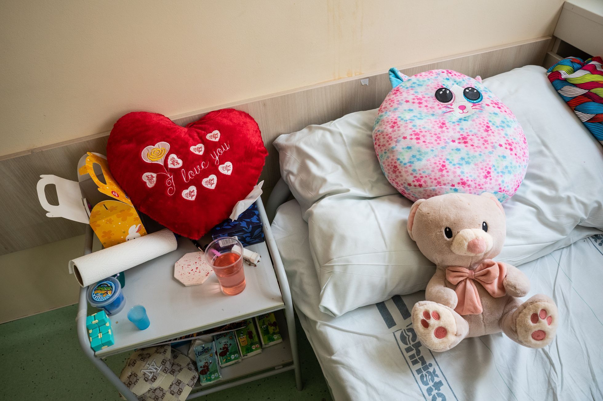 Oddělení dětské a adolescentní psychiatrie Liberec.