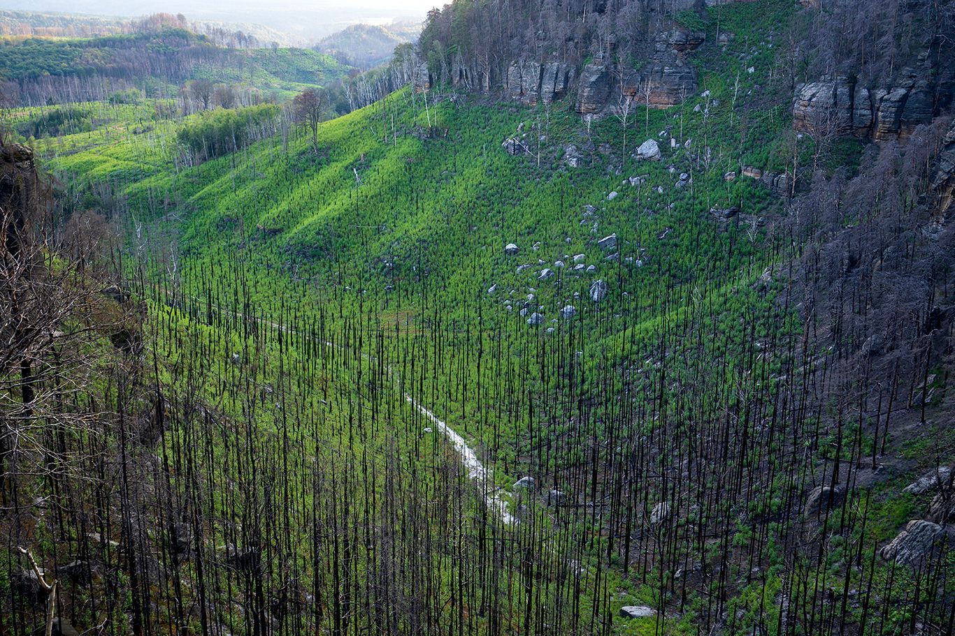 NP České Švýcarsko