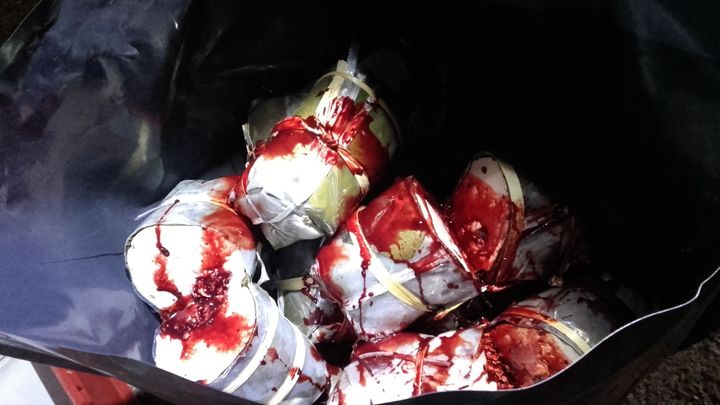 Veterináři našli v dodávce sto třicet kilo páchnoucího masa, krve, vajec a ryb