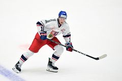 Proti Česku jako nebe a dudy. Top střelec popsal těžké podmínky v podpalubí NHL