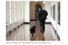 Deník Baltimore Sun si zaspekuloval, že prezident Obama získal příchodem psa do Bílého domu parťáka na kondiční cvičení...  Washington Post zase pátral po původu jména černo-bílého štěněte. Zdá se, že jméno "Bo" vybraly Obamovy dcerky podle vzoru svých sestřenic, které mají kočku stejného jména.  Celé jméno psa zní "Bo Diddley"- podle legendy rock 'n' rollu. A rovněž otce Michelle Obamové přezdívali Diddley, uzavírá Washington Post.