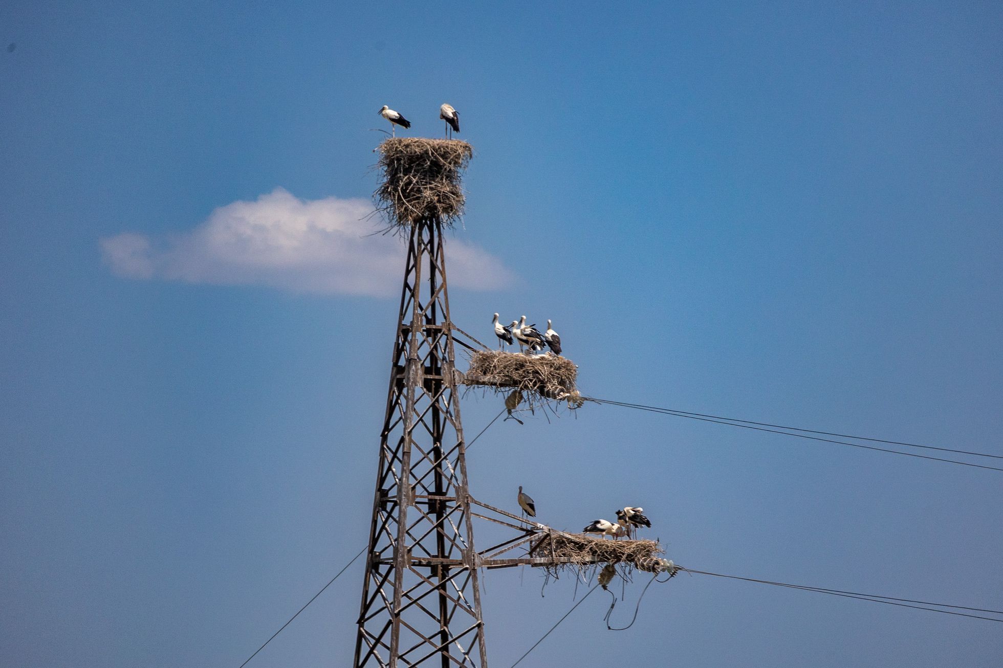 Dan Přibáň Žlutá žába Trabantem Turkmenistán