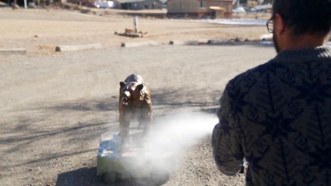 Odborníci upozorňují, že příčinou častějších střetů není nutně nárůst populace medvědů, ale změna jejich chování.