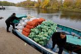 Cherson a Melitopol, města, která jsou na Ukrajině známá jako producenti melounů. Obě od začátku března okupuje ruská armáda. Na snímku muž z vesnice Olešky převáží na lodi na tržiště zelí, cibuli a brambory.