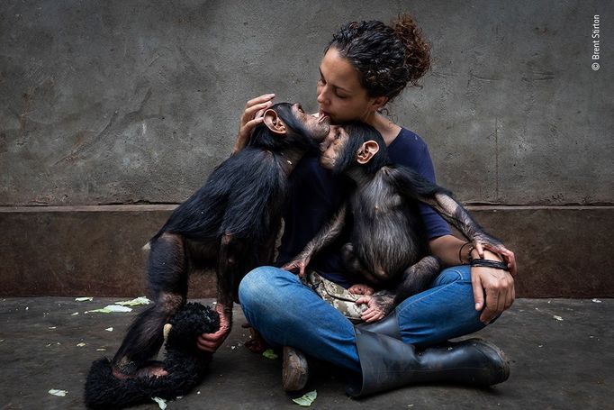 Vítězové soutěže Wildlife Photographer of the Year 2021