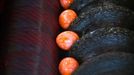 Eggs are being colored on a roller on March 30, 2012 at the egg dye factory in Thannhausen, southern Germany. During the Easter season, the plant produces daily around 180,000 hard-boiled and dyed eggs.