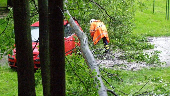 A strom ze zdemolovaného auta odstranili.