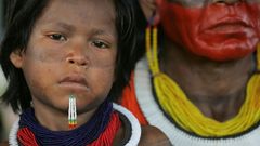 Brazilští domorodí obyvatelé