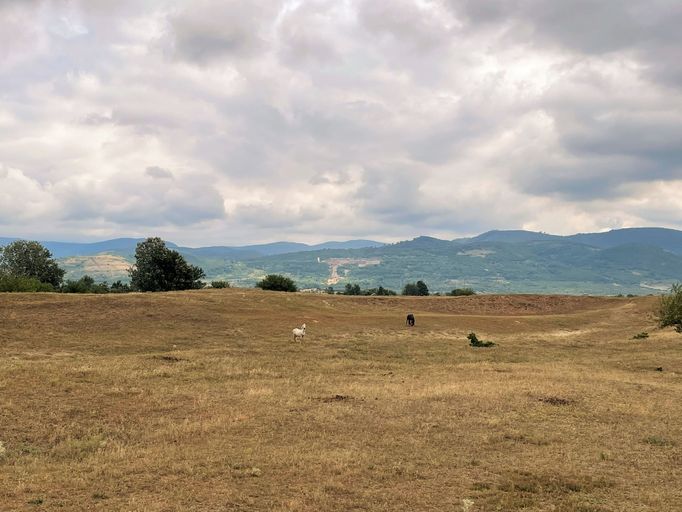 Ostrov na Dunaji u města Moldova Veche v Rumunsku, kde žijí divocí koně.