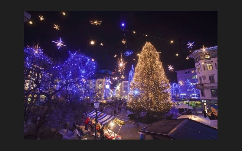 Vánoční strom - Ljubljaň