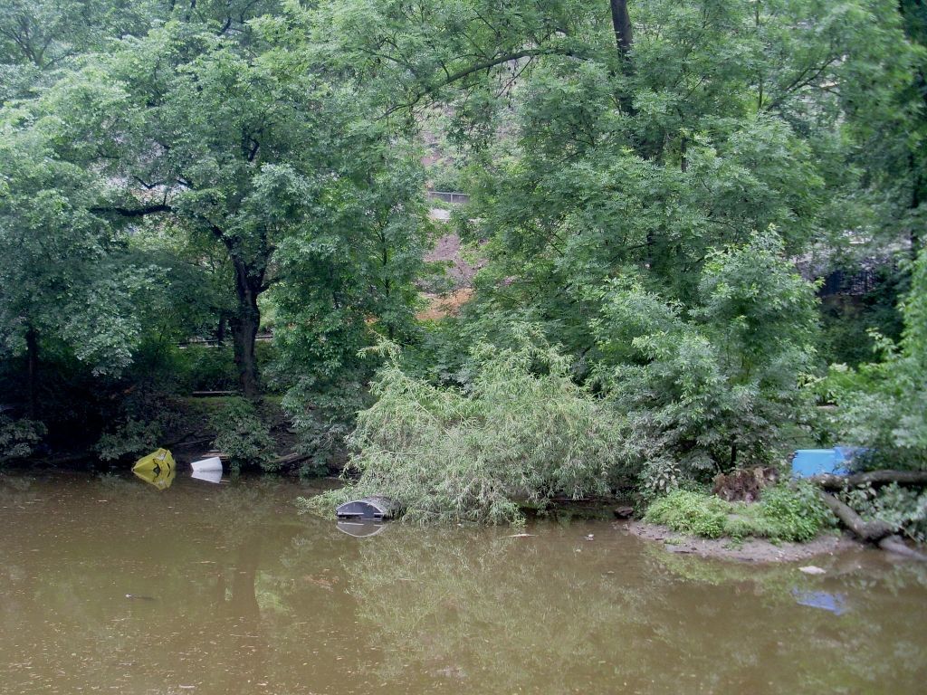 Úklid Zoo Praha