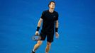 Australian Open 2015: Andy Murray při semifinále s Tomášem Berdychem