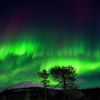 polární záře norsko finsko noc les příroda