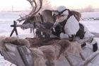 Epidemii antraxu způsobily na Sibiři zřejmě žíly mrtvých sobů, roli hrála i zrušená vakcinace
