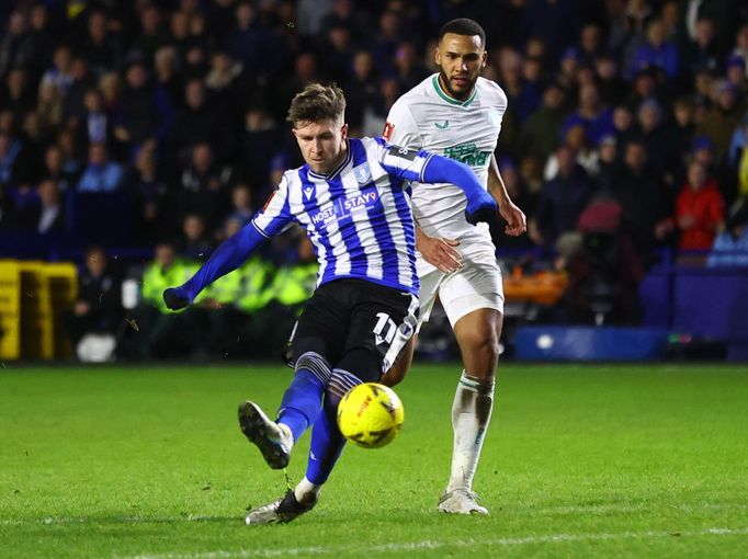 Josh Windass v dresu Sheffieldu Wednesday