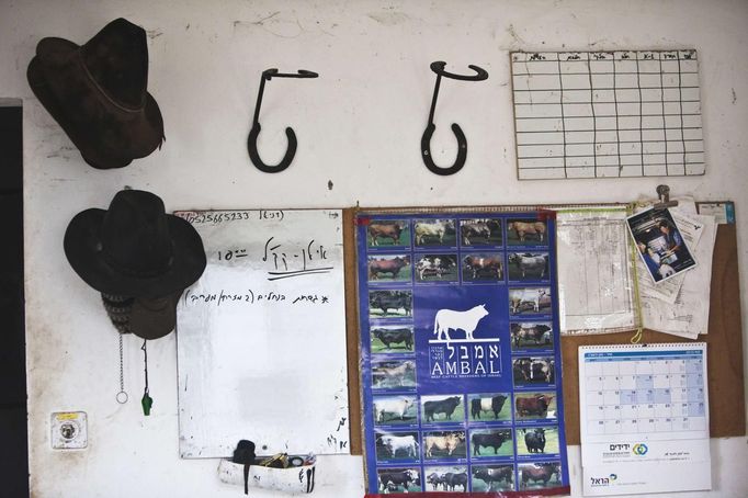 Horse riding equipment is seen in the staff room of a ranch just outside Moshav Yonatan, a collective farming community, about 2 km (1 mile) south of the ceasefire line between Israel and Syria in the Golan Heights May 2, 2013. Cowboys, who have been running the ranch on the Golan's volcanic rocky plateau for some 35 years, also host the Israeli military, who use half of the cattle farm, 20,000 dunams (5,000 acres), as a live-fire training zone. Israel captured the Golan Heights from Syria in the 1967 Middle East war and annexed the territory in 1981, a move not recognized internationally. Picture taken May 2, 2013. REUTERS/Nir Elias (ENVIRONMENT ANIMALS SOCIETY) ATTENTION EDITORS: PICTURE 22 OF 27 FOR PACKAGE 'COWBOYS OF THE GOLAN HEIGHTS' SEARCH 'COWBOY GOLAN' FOR ALL IMAGES Published: Kvě. 29, 2013, 10:08 dop.