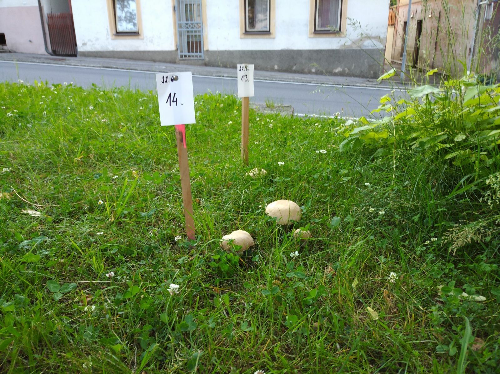 Šumava Stachy