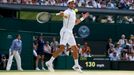 Novak Djokovič ve finále Wimbledonu 2013