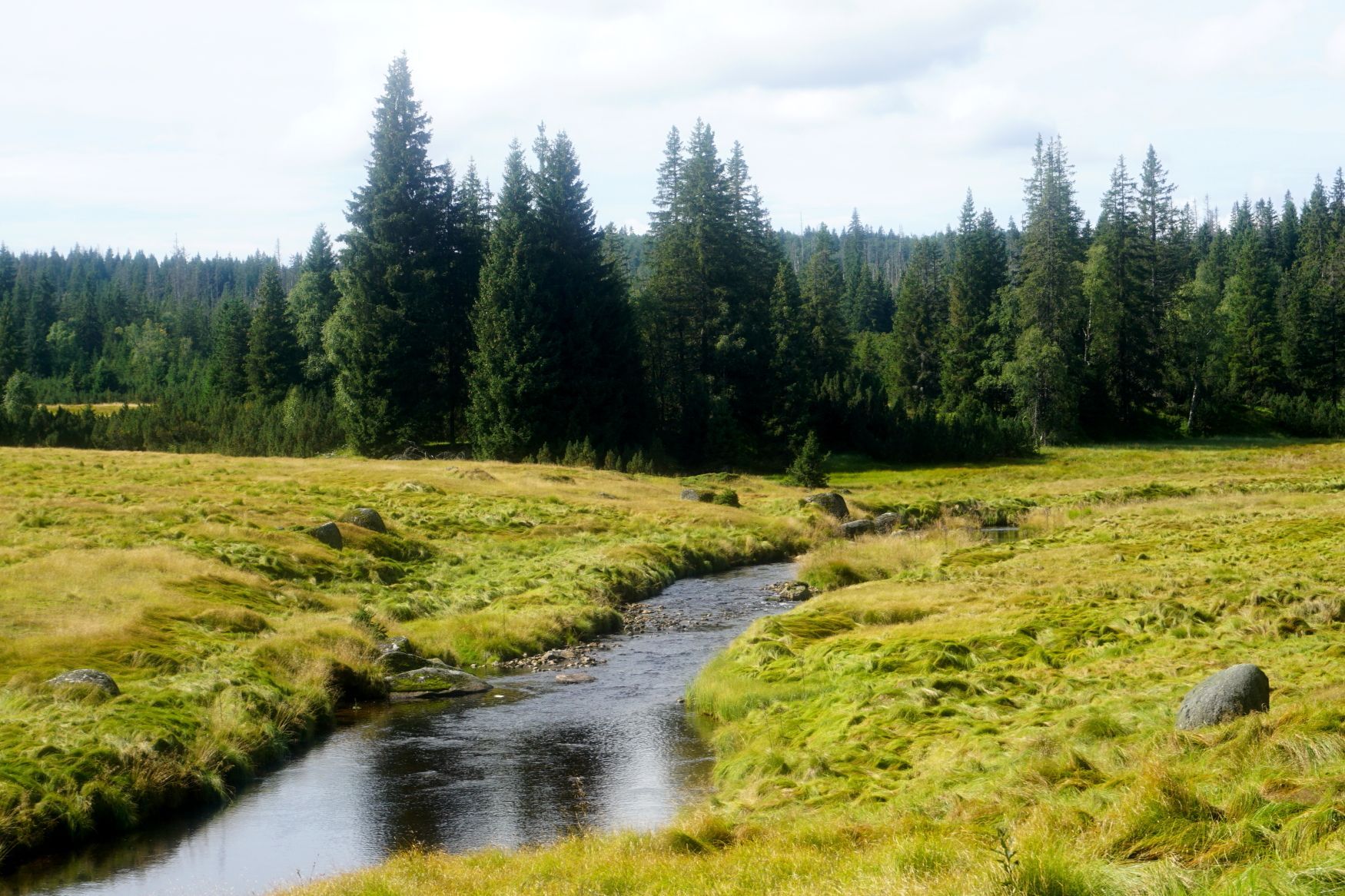 údolí Roklanského potoka u Modravy