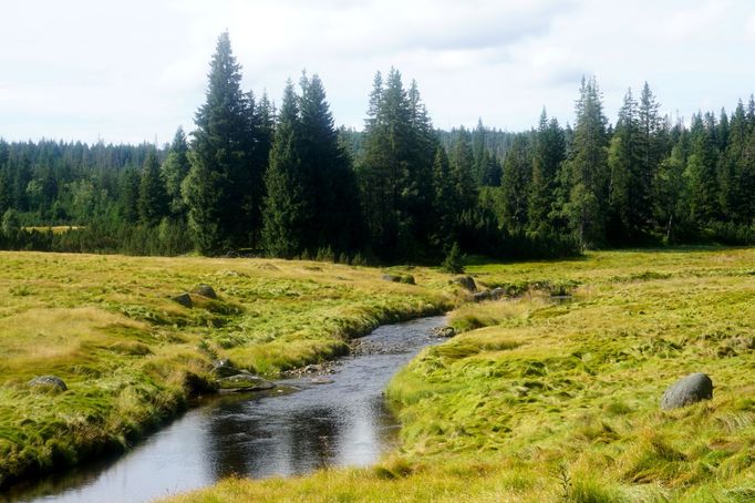 údolí Roklanského potoka u Modravy