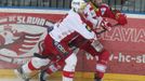 Slavia vs. Třinec, utkání hokejové extraligy