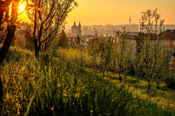 Krása jarní Prahy na fotografiích Richarda Horáka (vítěz soutěže Praha fotografická 2023)