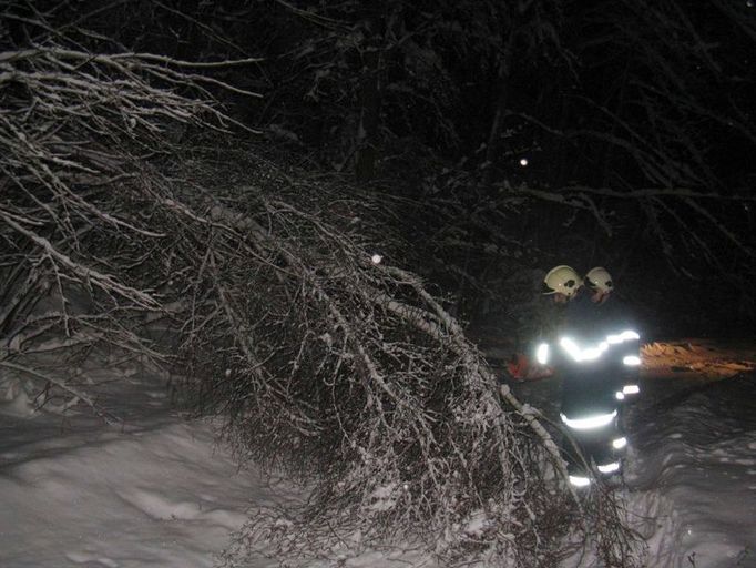 Sbor dobrovolných hasičů odstraňuje v Kostelci nad Ohří strom padlý pod tíhou sněhu.