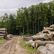 Zvláštnost českých lesů. Klimatickou krizi nezlepšují, naopak zhoršují, říká ochranář