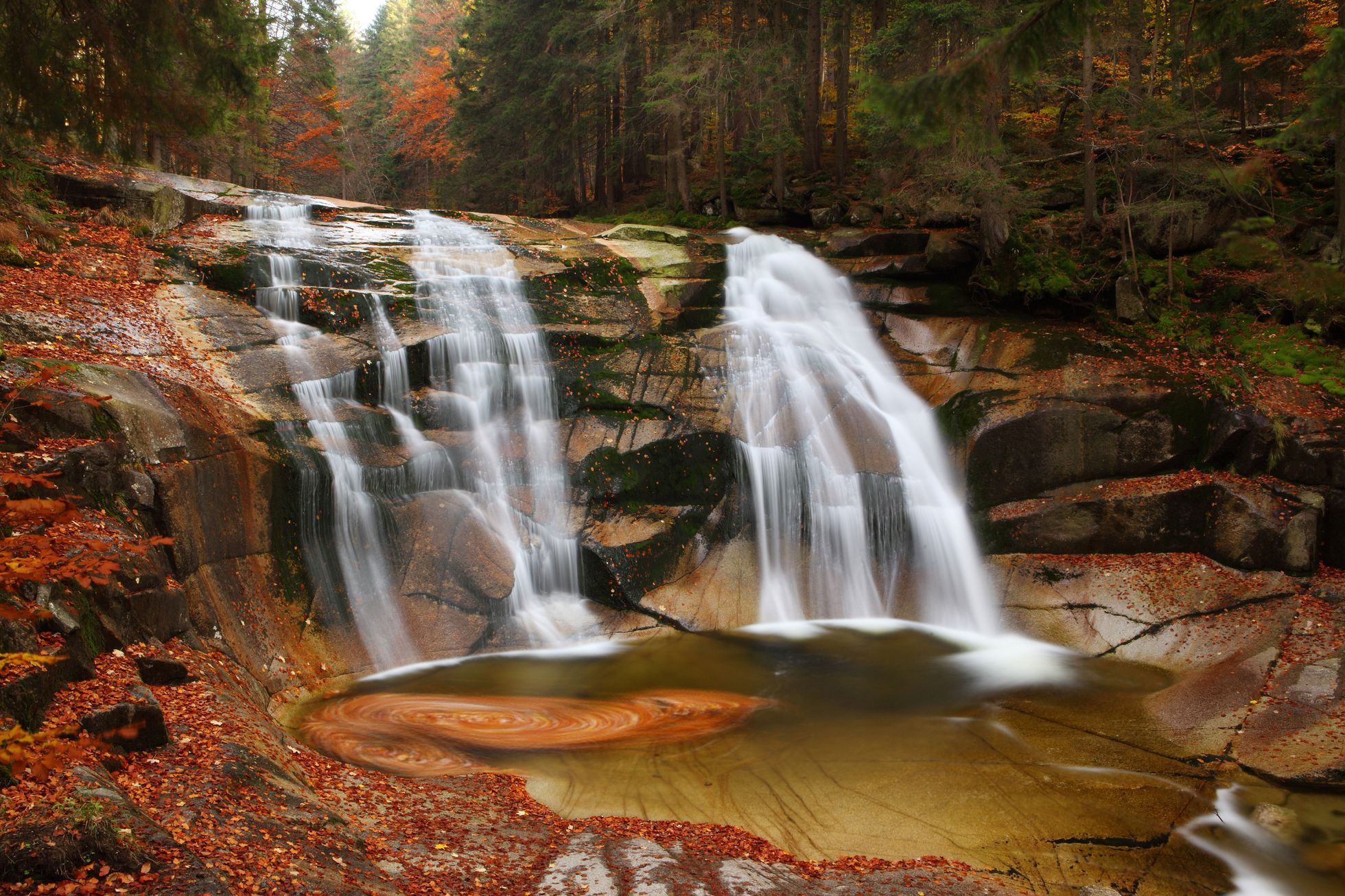 Krkonoše, KRNAP, národní park, hory, Česko, domácí, příroda