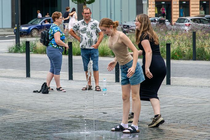 Adaptační proti změně klimatu v Praze.