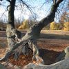 Stromovka - Cesta za poznáním