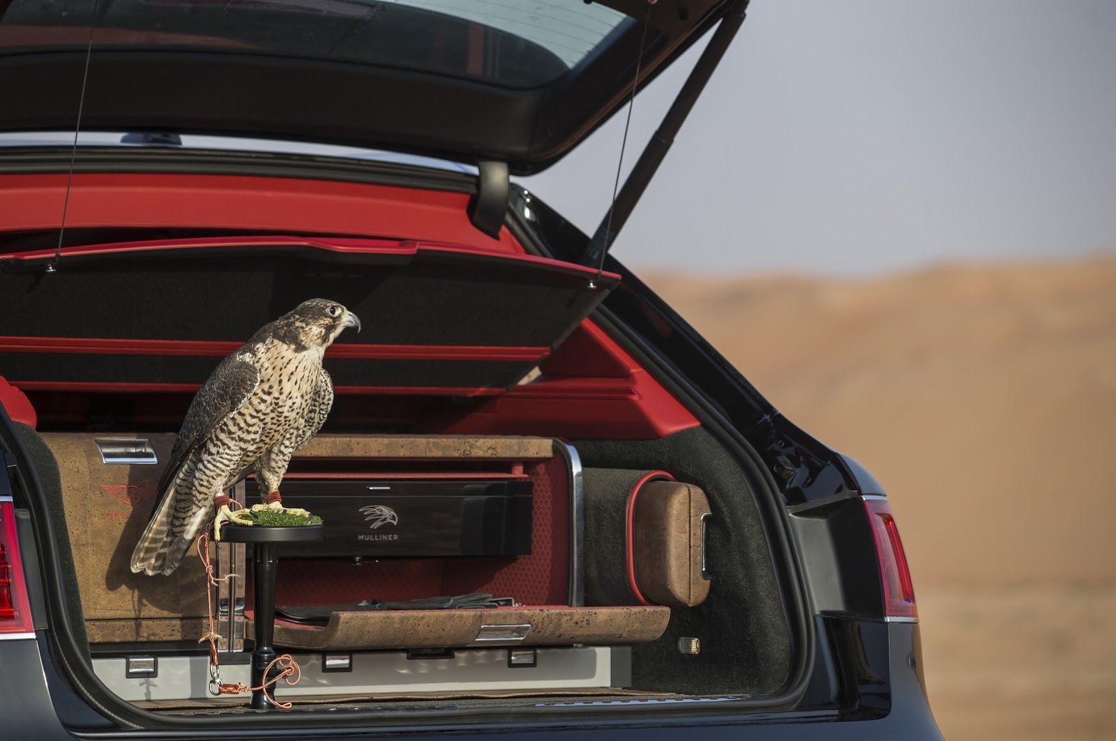 Bentley Bentayga pro sokolníky