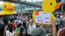 Thousands of people crowd the waterfront on the last day to see a giant duck (L), conceived by Dutch artist Florentijn Hofman, in Hong Kong on June 9, 2013. Thousands said farewell to the giant inflatable yellow rubber duck which has captivated Hong Kong for the past month, before it heads to the United States.