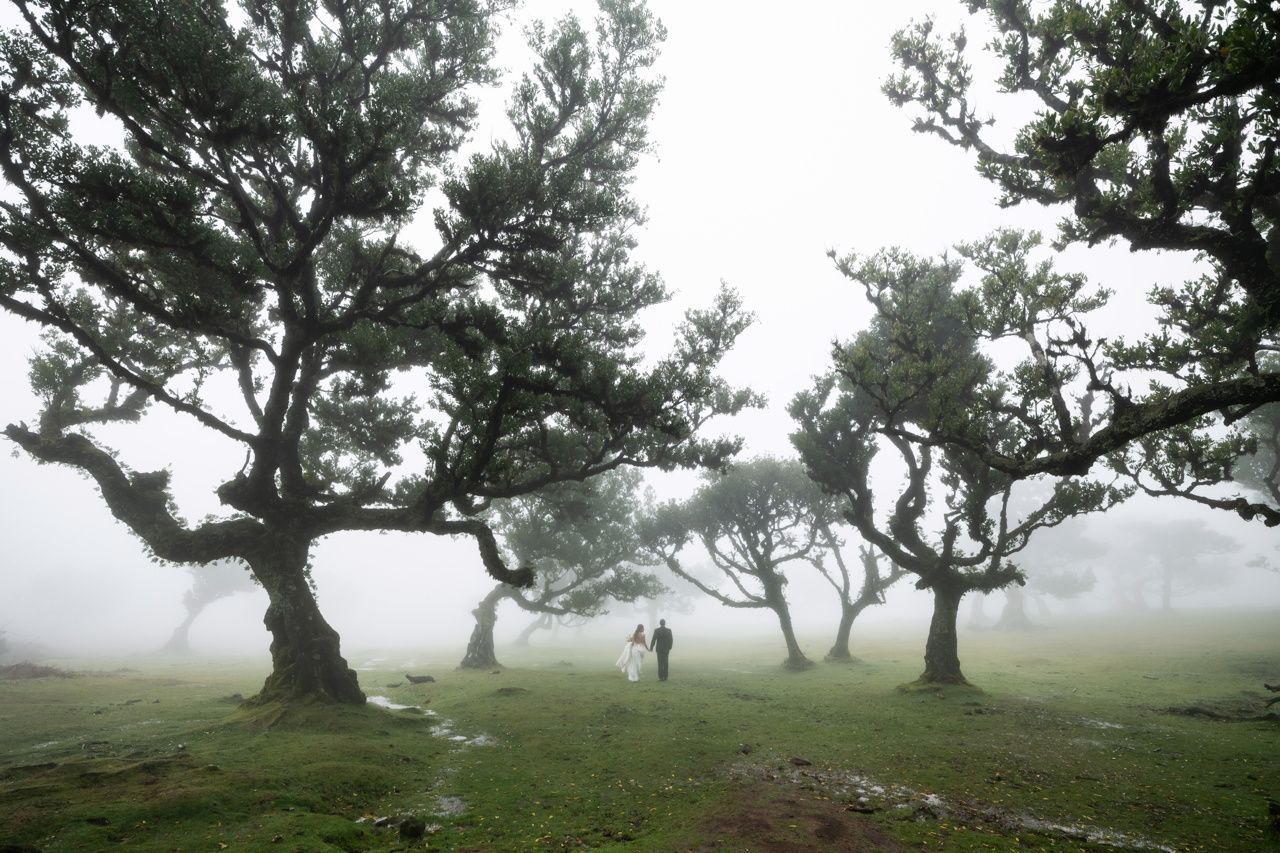 svatba, svatební snímky, novomanželé, snímky, soutěž