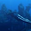 Tomb Raider: Underworld