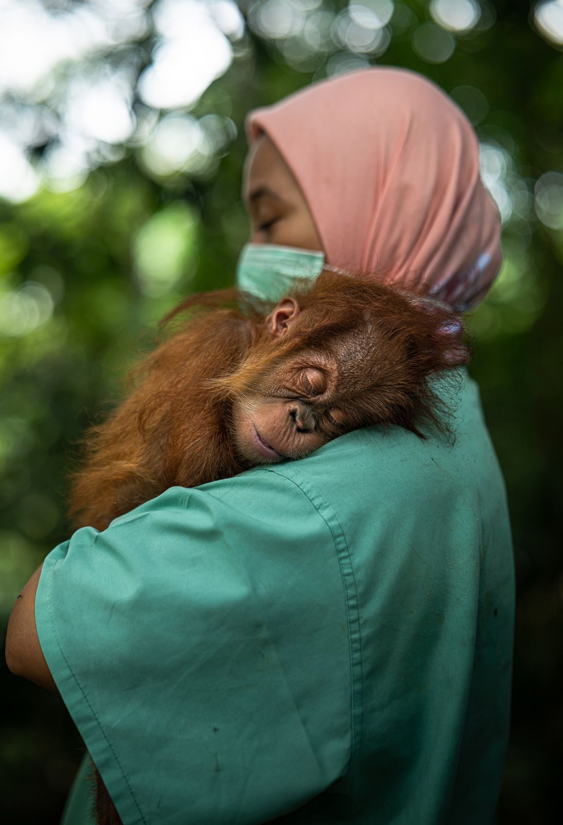 Nejlepší snímky přírody ze soutěže PA2F Environmental Photography Award