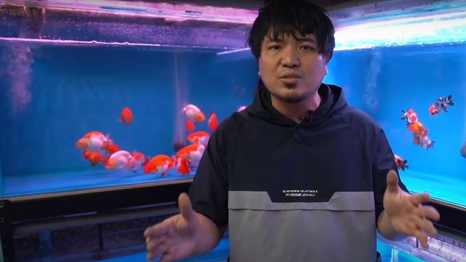 Tchajwanský youtuber si svépomocí sestrojil kočárek pro rybičky, aby je s sebou mohl brát ven.