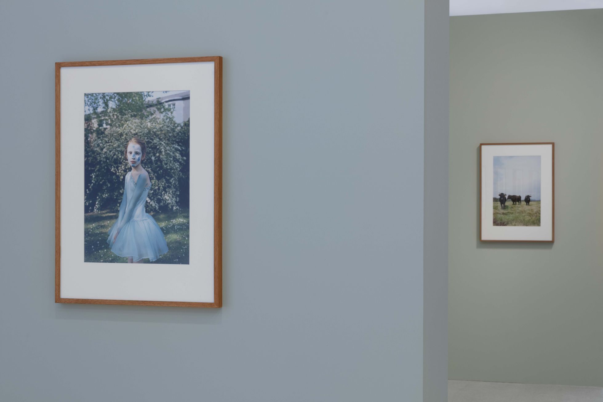 Jitka Hanzlová: Tišiny