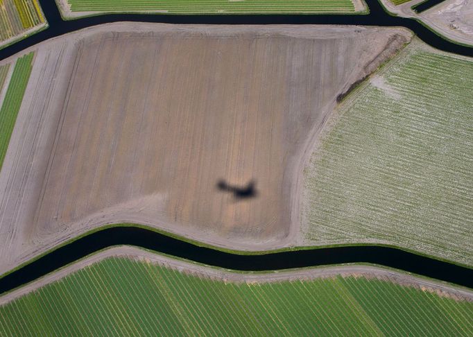 Obrovské pole tulipánů v Nizozemsku.