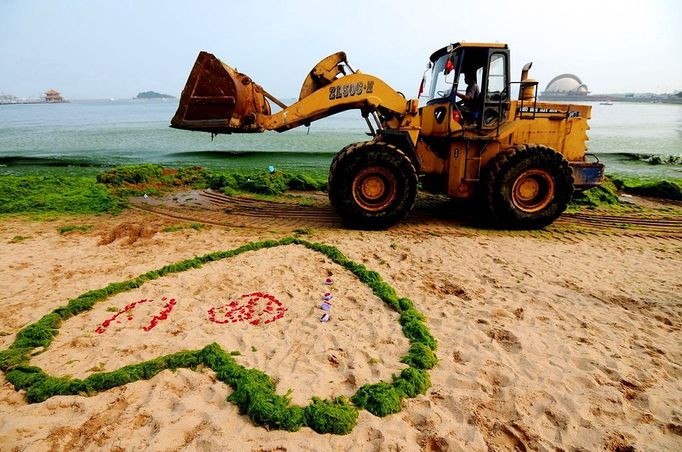 A loader passes by a heart-shape ring of seaweed on the beach in Qingdao in east China's Shandong province Friday July 5, 2013. Thousands of workers are cleaning the beach contaminated by the algae called enteromorpha prolifera each day as the algae blooms in the sea south to the city.