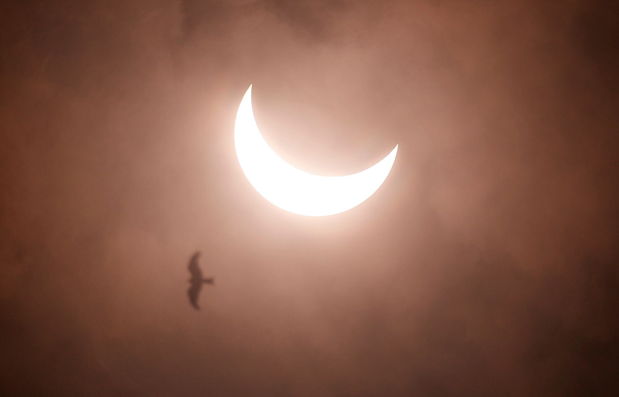 prstencové zatmění slunce afrika blízký východ asie