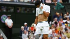 Novak Djokovič, Wimbledon 2024