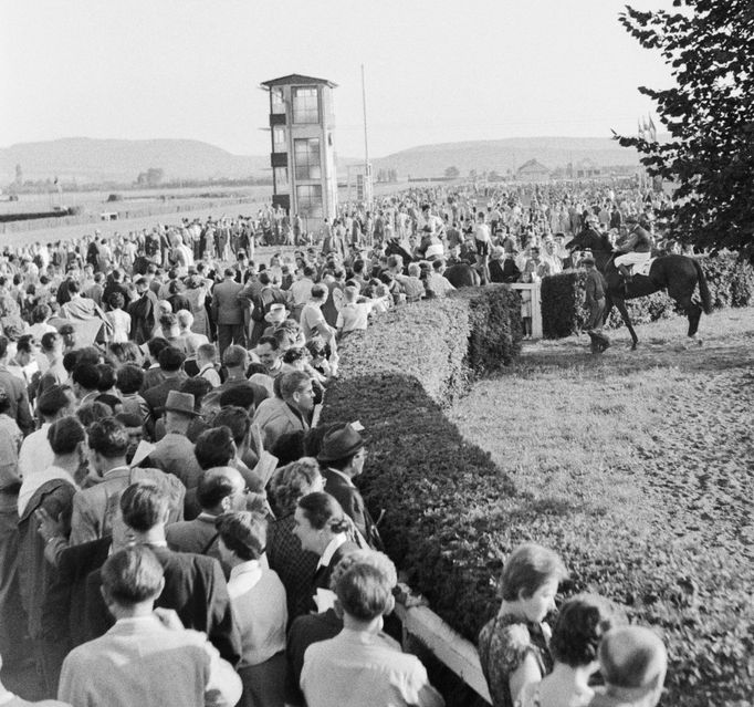 Diváci na dostihové závodišti Velká Chuchle v roce 1956