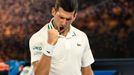 Australian Open 2021, semifinále (Novak Djokovič)