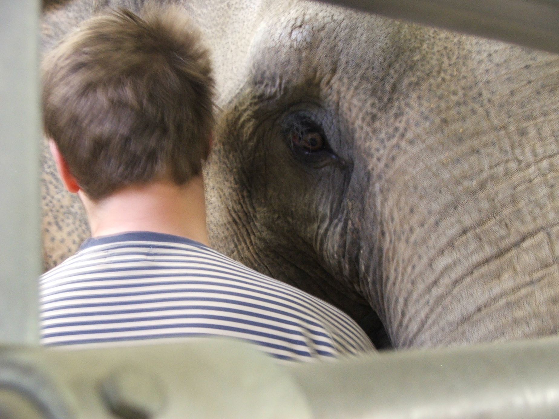 Údolí slonů - ZOO Praha