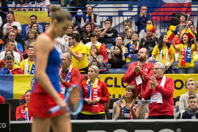 Plíšková vs. Buzarnescuová, Fed Cup Česko vs. Rumunsko